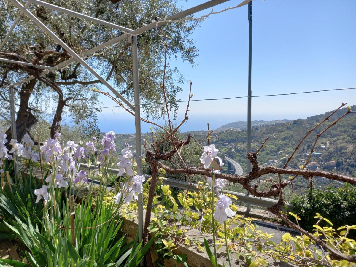 산레모 La Casa Di Elda 아파트 외부 사진